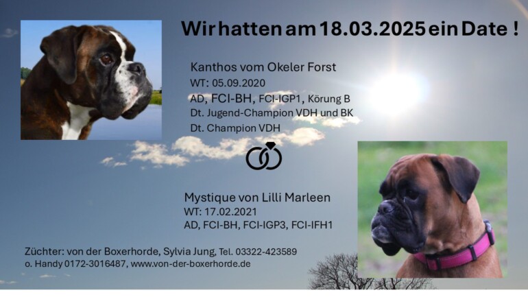 Belana und der A-Wurf